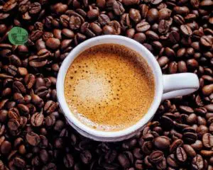 Best espresso beans for your home espresso machine