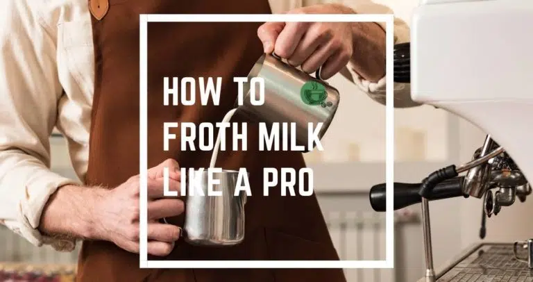 How To Froth Milk like A Pro
