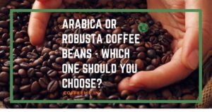 Arabica or Robusta - Which One Should You Choose